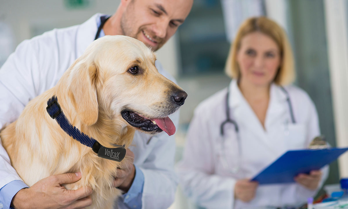 PARAMETER PROBLEMS AND SOLUTIONS OF VETERINARY PATIENT MONITORS ——SPO2 IS UNSTABLE